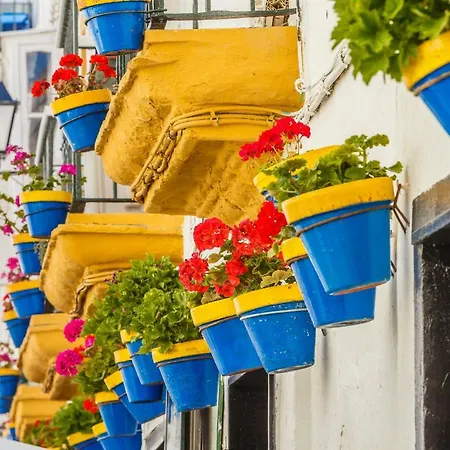 Appartement Essence *